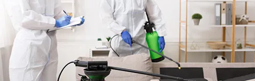 Disinfection